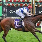 best horse to bet on melbourne cup
